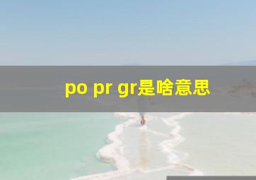 po pr gr是啥意思